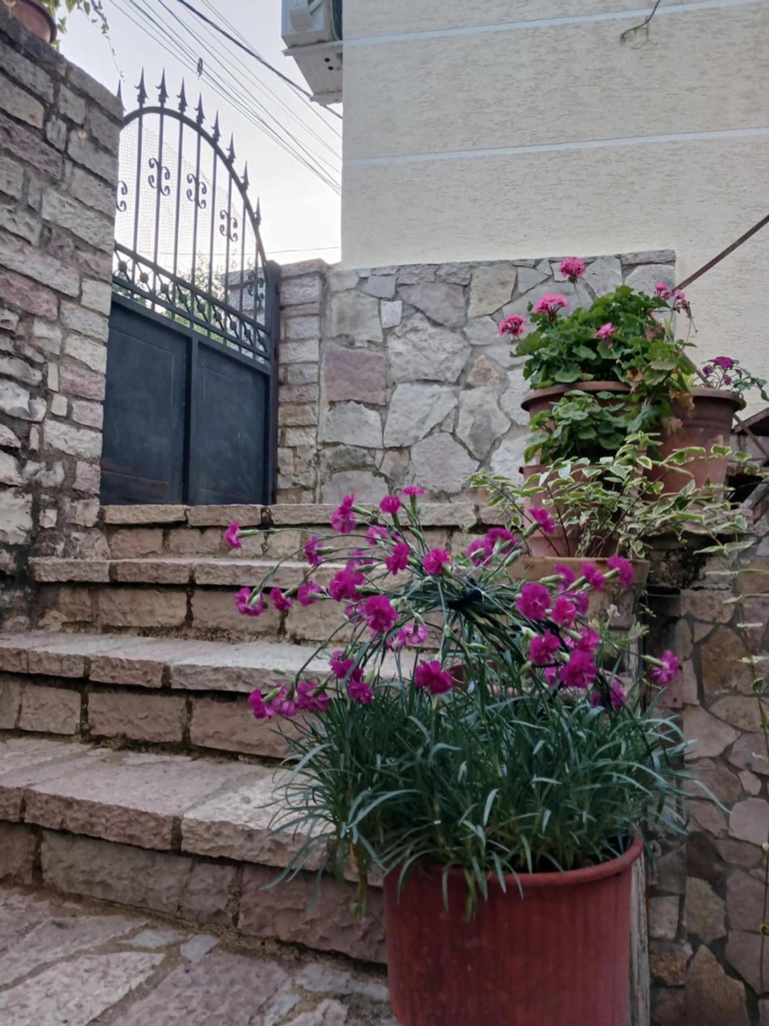 Eniguesthouse Gjirokaster Luaran gambar